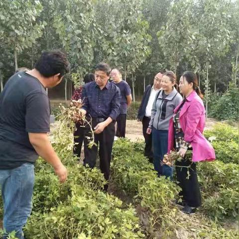 河南育种杰出代表的相关长尾关键词有哪些