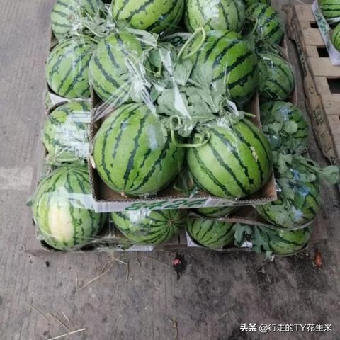 沈阳有哪些批发市场？