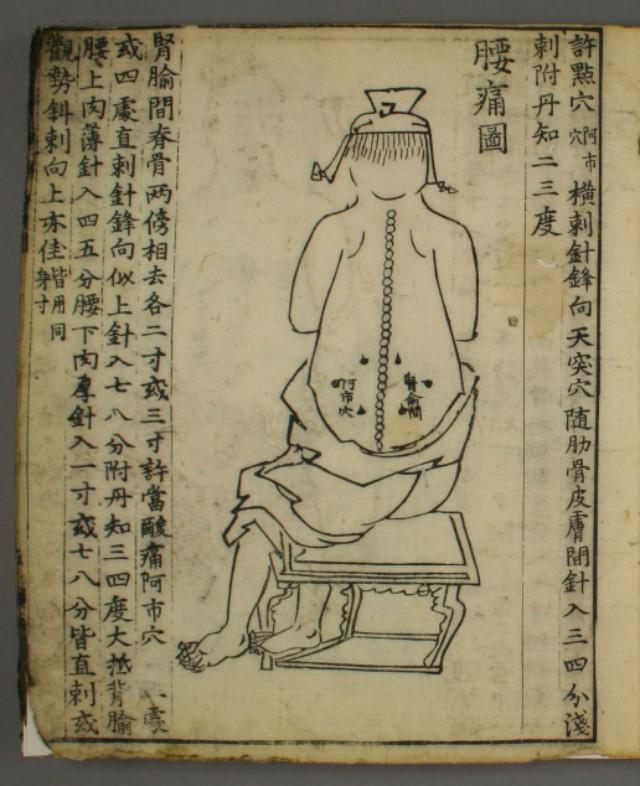 中医杂志会计论文参考文献大家觉得有收藏价值吗