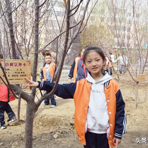 沈阳注格菁菁相关长尾关键词有哪些