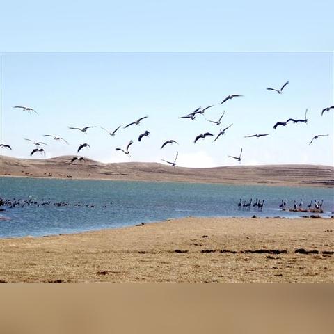 成都市缤纷翡翠房价的长尾关键词有什么