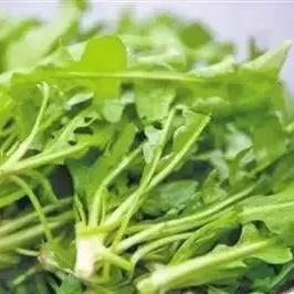 沈阳春季哪里可以挖野菜？
