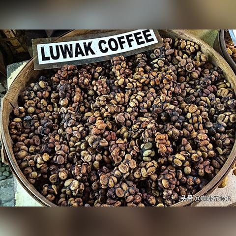 广州杯子咖啡相关长尾关键词有哪些