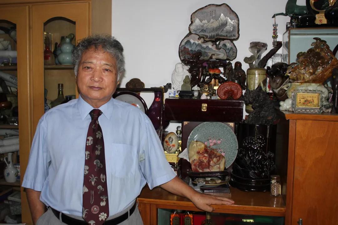 菌物研究论文一亩草养几头牛