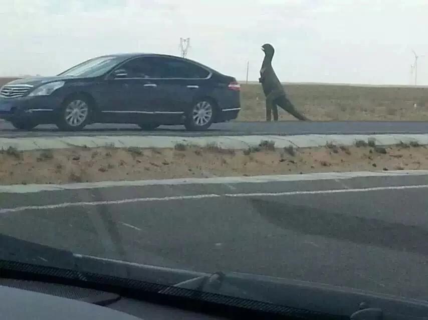 十一高速免费吗
(五一十一高速免费吗)-图1 十一高速免费吗
(五一十一高速免费吗)-图1