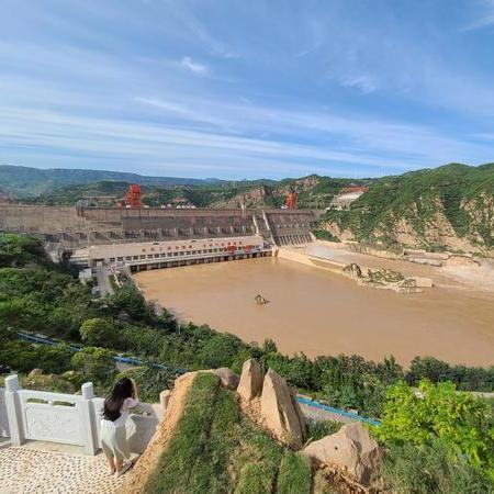 河南种什么容易种的中药