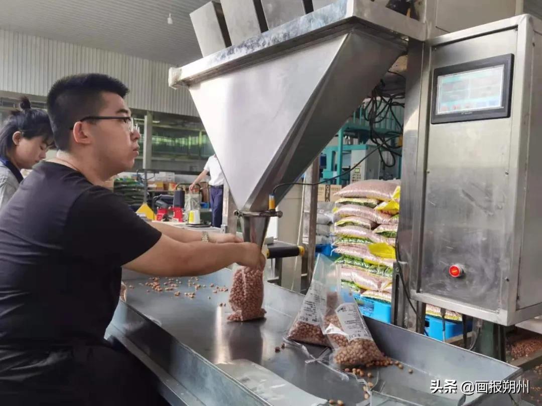 地质文献综述怎么写我女儿今年被吉林大学地质类录取