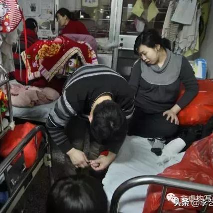 济南市给狗剖腹产多少钱