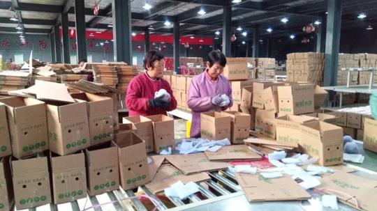 “苹果女王”的创业之路：帮老乡卖苹果，收苹果比市场价高两毛钱