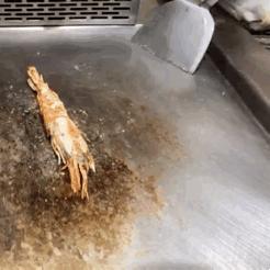 哈尔滨市哪里有买牛肉的