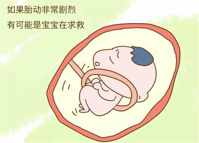孕期宝宝在肚子里什么时间段睡觉