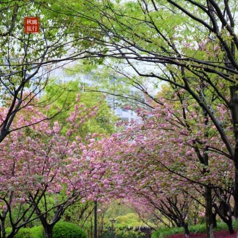 江苏省苏州市常熟市滨江中学的长尾关键词有什么