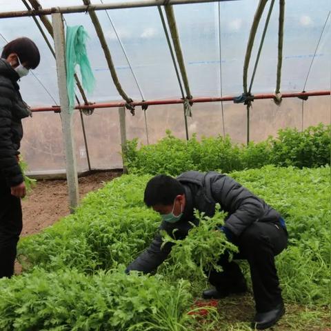 河口到越南通行证长尾关键词有什么