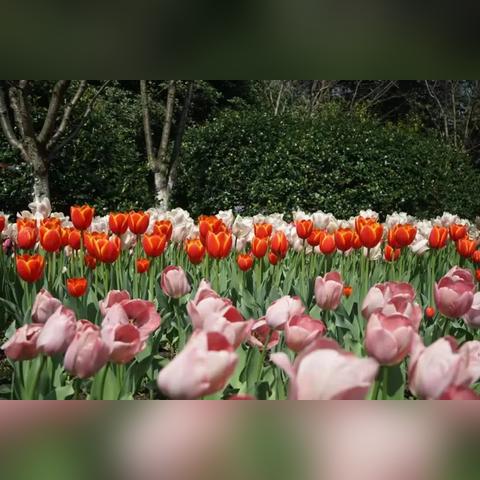 无锡市逍遥岛游玩的长尾关键词有什么