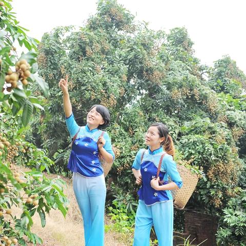 体育生毕业后可以做什么的长尾关键词有什么