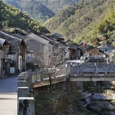 宁波市春天吃什么