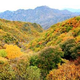 保定市有哪里玩儿的景点