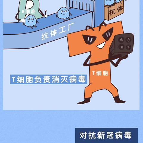 【31省新增本土25例/31省新增本土55例】