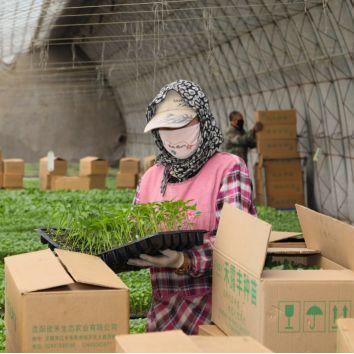 沈阳汽车遮阳相关长尾关键词有哪些