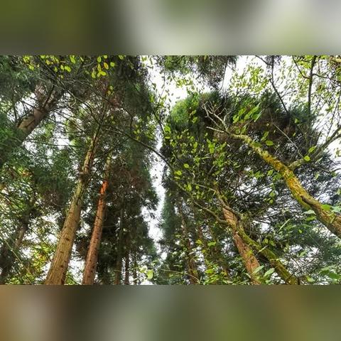 贵州桐梓未来一周气温的长尾关键词有哪些