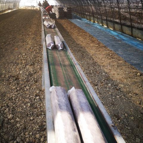 河南朵朵科技怎么样