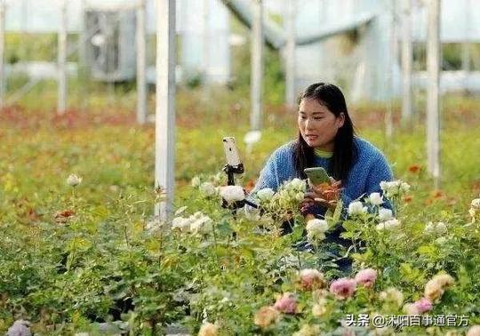 沭阳占全国电商花卉直播销售额三分之一