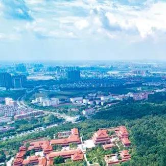 合肥市五十中在哪个区