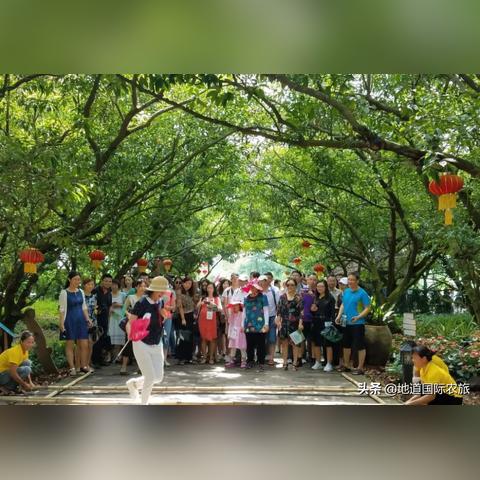 天津大道农庄怎么样