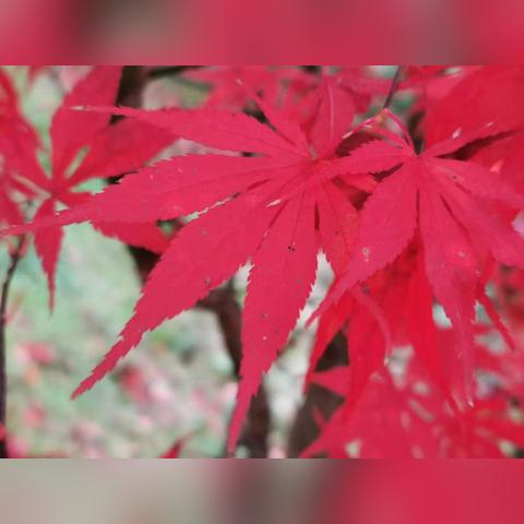 正月二十五什么天气