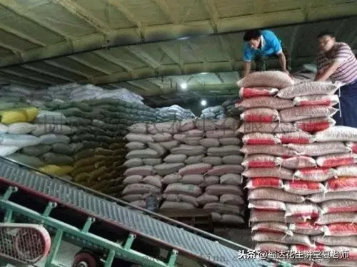 亚马逊无货源怎么上货 亚马逊无货源怎么快速上货