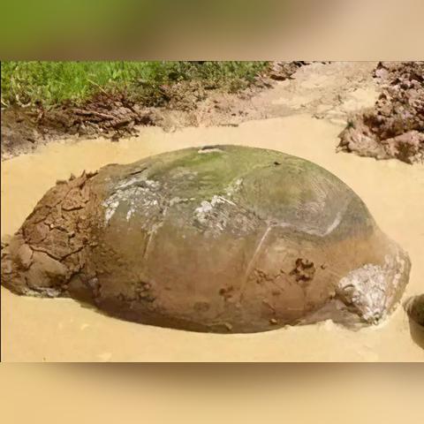 河南省周口市搬新家习俗的长尾关键词有哪些