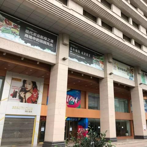 五行属土是什么(五行属土是什么时辰)