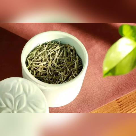 福建白豪银针怎么样