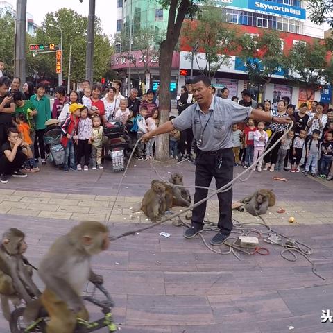 福建算哪个方向