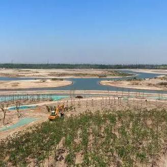 天津临港属哪个区域