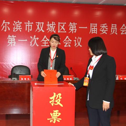 哈尔滨市双城区什么地方