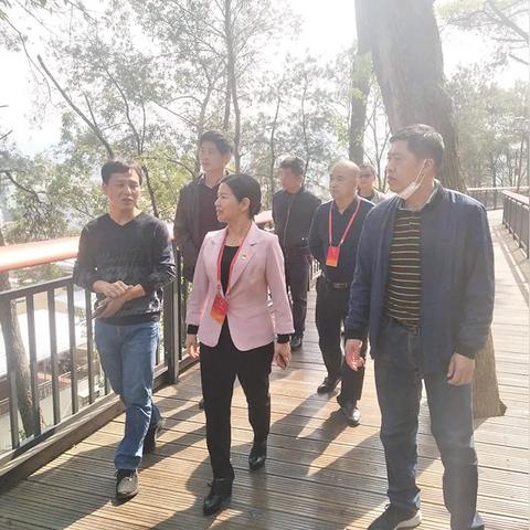 福建漳平城市怎么样