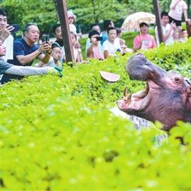 沈阳沙冰相关长尾关键词有哪些