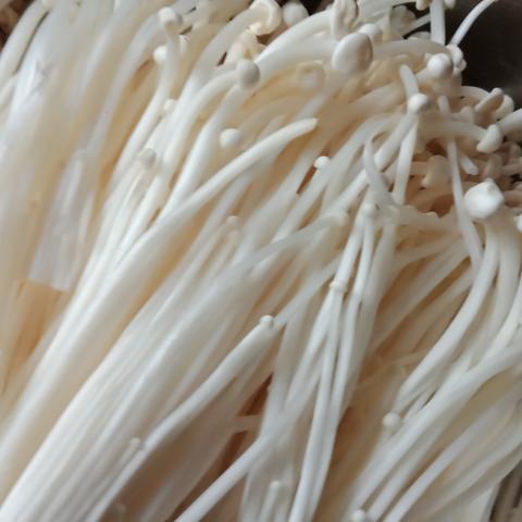 沈阳蜀都火锅相关长尾关键词有哪些