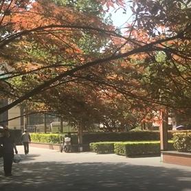 西安交通卡怎么弄？