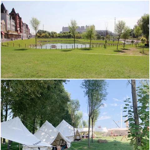 哈尔滨市露营工厂在哪里