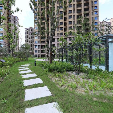 南宁市高新区小学怎么走