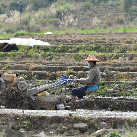 福建育秧设备价位的相关长尾关键词有哪些