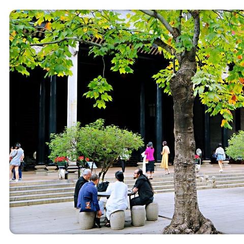 广州市有什么斿游景点