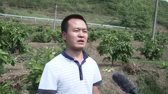 【脱贫攻坚群英谱】雷丰富：树高千尺不忘根回乡创业报乡亲