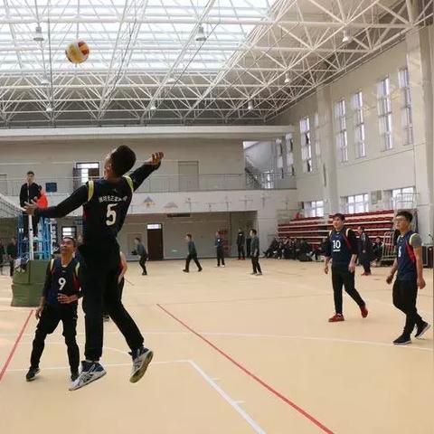 潍坊市实验学校在哪里