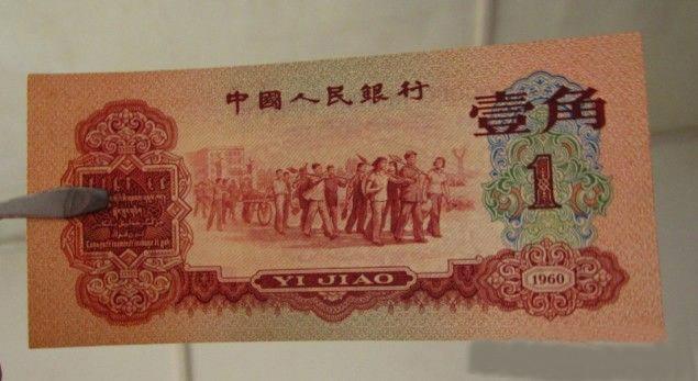 豹子是什么美食（可以打赢格斗届的世界冠军吗）
