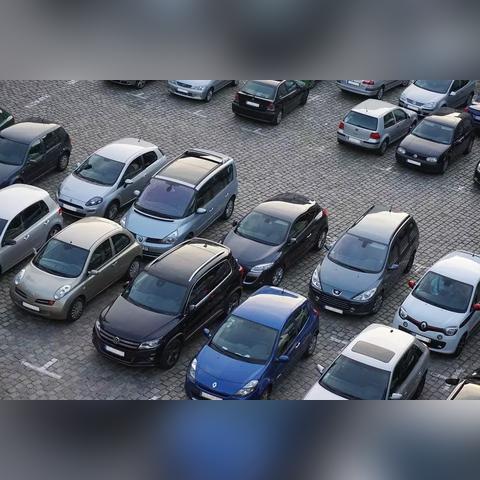 哈尔滨 交通违章相关长尾关键词有哪些