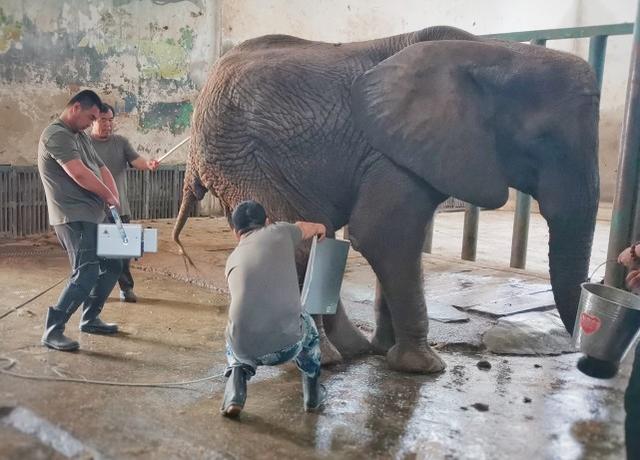 孩子生病怎么照料好得快