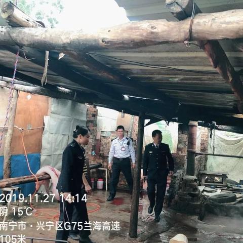 【南宁今日生猪价格】2025年6月26日南宁生猪价格是多少